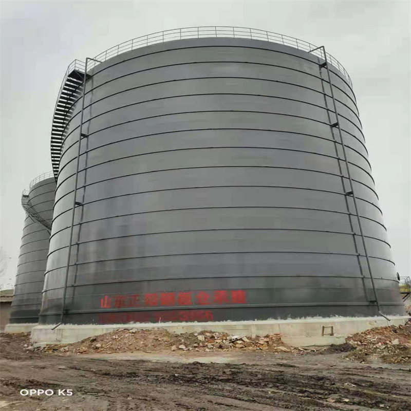 衡南3万吨大型钢板库