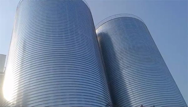 衡南2座混凝土高架卷板仓